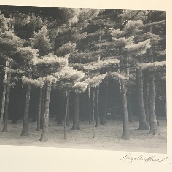 Douglas Busch Original Phograph Signed Negative Collotype Print - Picture 7 of 10